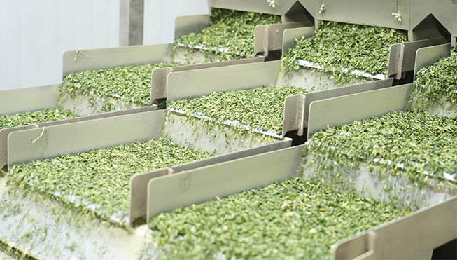 บริษัท Xinghua Vegetable Foods Co. , Ltd.